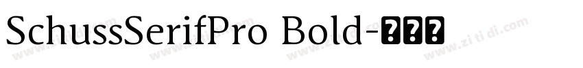 SchussSerifPro Bold字体转换